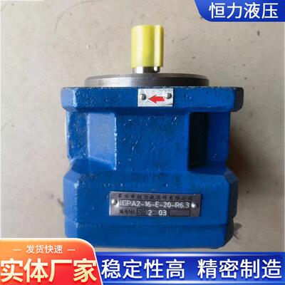 PA机床PA2-1GYKK0-GE-20-R6.3磨床发泵泡机泵内啮合齿轮油泵