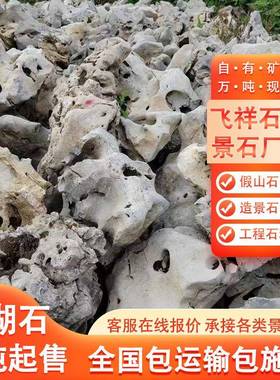 太湖石假山太湖石天石头园泊林景观石草石鱼池岸石水景头太湖石坪