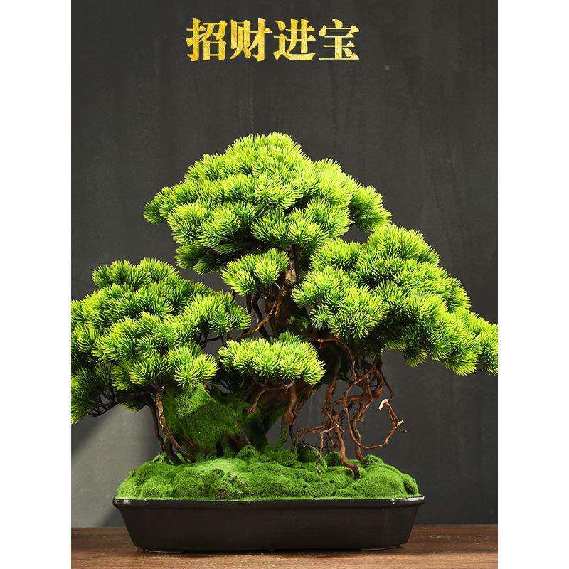 中盆UCY景摆件工绿植新盆栽式室内客厅办公室家居装饰发财树迎客