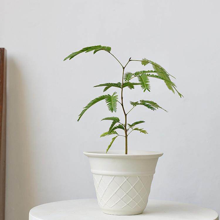 FWL冰淇甜筒兜兰盆粗陶兰花花陶瓷陶绿植蝴蝶淋兰土彩叶芋盆栽陶