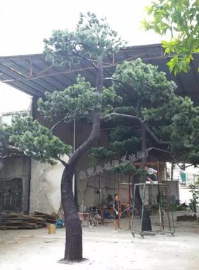 人造汉NSB大型仿真松松植物玻璃钢松树可按要尺寸做罗摆放胶叶枝