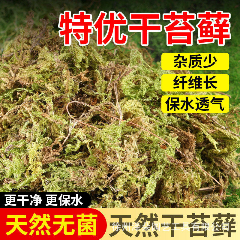天然干苔藓兰花石斛专用水苔青苔保湿排水透气宠物龟冬眠铺垫植物,农用物资,育苗/栽培基质,淘宝优惠券,粉丝福利购,淘宝优惠卷