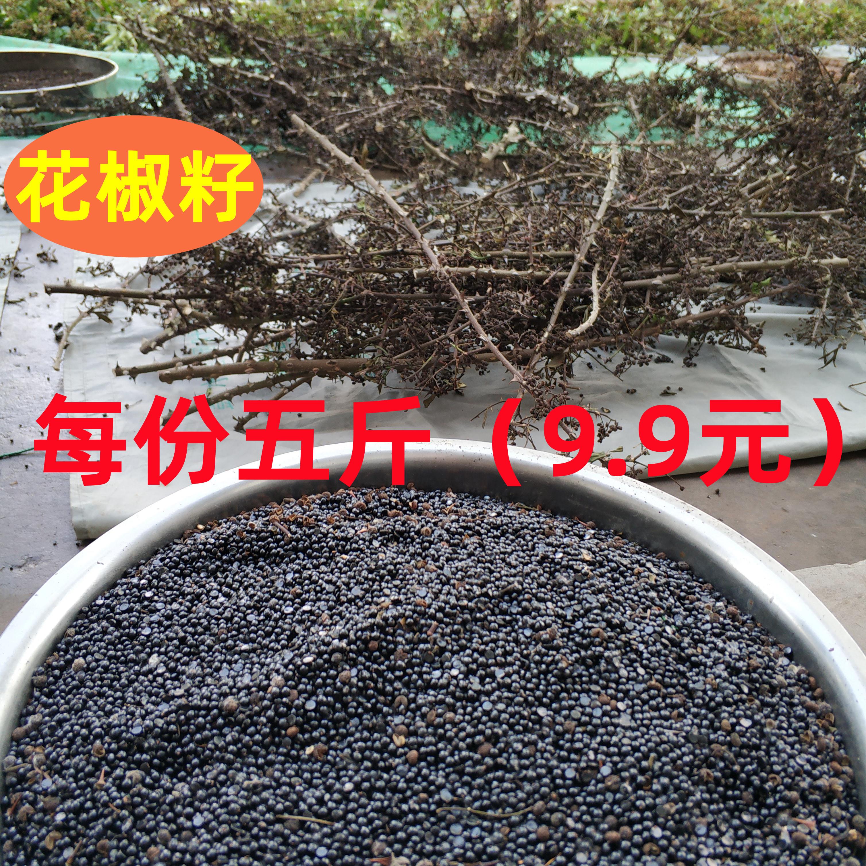 花椒籽青子籽2500克9.9