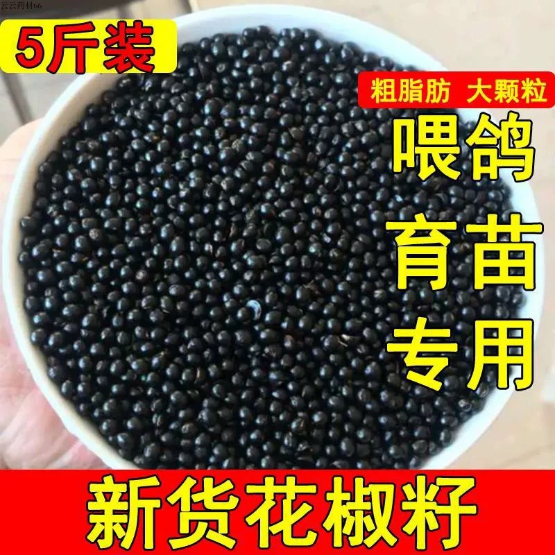 新货花椒籽鸽用鸽子饲料