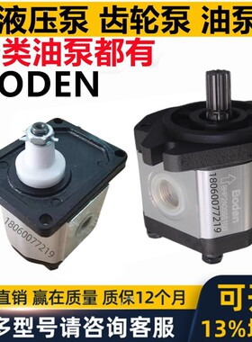 台湾SFHP型齿轮油泵BAP1.5 BAP2 BHP2.5 BHM2B0 BAP2.5  boden