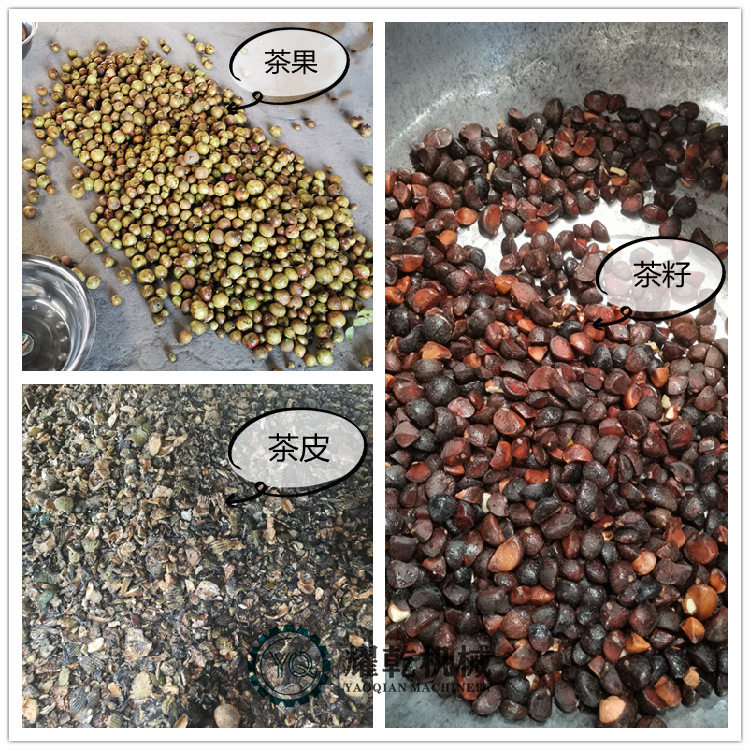 茶果脱粒机 油茶果剥青皮设备 新鲜木子果剥壳机 10吨/天可试机