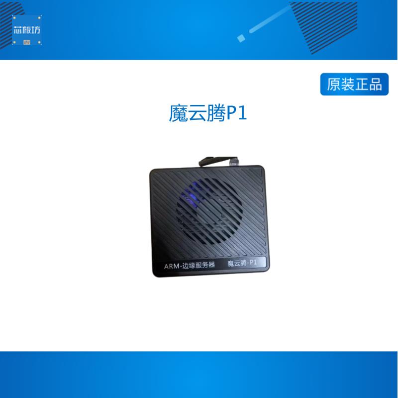 魔云腾P1 双PCIE4.0X4 nvme NPU 10TOPS 32G 48G 64G定制控制台