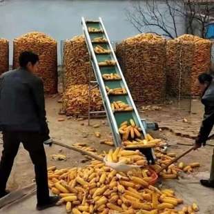 车神器流水线提升 玉米上棒机小型家用输送带小麦颗粒传送带水果装