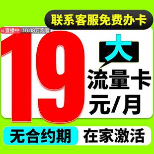 流量卡电话卡低月租永套餐卡19元 久无线限量全国通用纯上网手机号