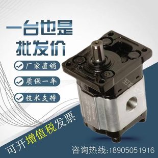 OT300 意大利布雷维尼brevini齿轮泵OT100 GR2 GR1 GR3油泵 OT200