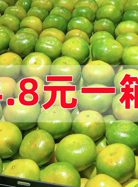 特早熟云南蜜桔橘子新鲜水果