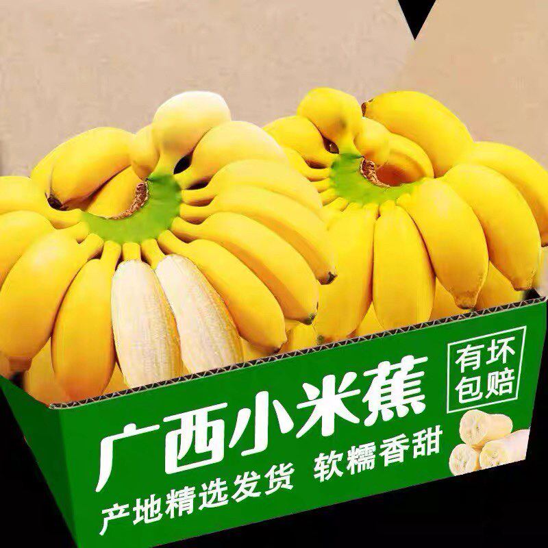 广西新鲜小米蕉9斤带箱新鲜水果3应季包邮小米焦5香蕉banana当季