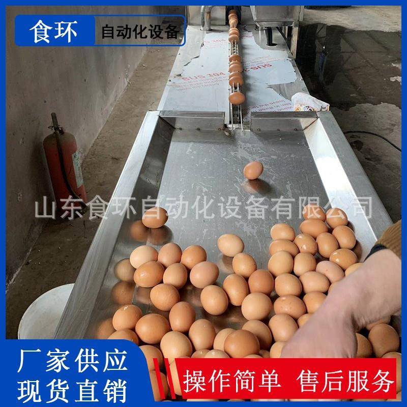 时产5000枚单排洗蛋机鸡蛋清洗风干杀菌一体机快速蛋品清洗机