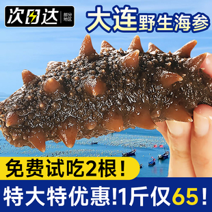 海参即食大连鲜食鲜活深海辽参野生海生刺参500g特价旗舰礼盒商用