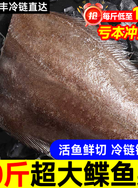 鲽鱼新鲜现切碟鱼身格陵兰大号比目鱼蝶鱼新鲜冷冻整条深海鸦片鱼
