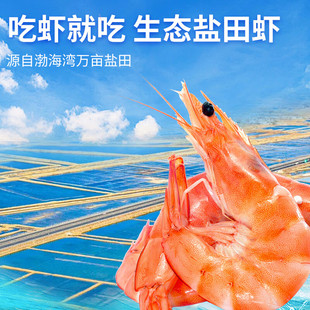 熟冻盐田虾新鲜冷冻白虾对虾加热即食海鲜虾