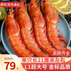 阿根廷红虾L1大红虾特大鲜活速冻海捕大虾超大海鲜进口刺身冷冻