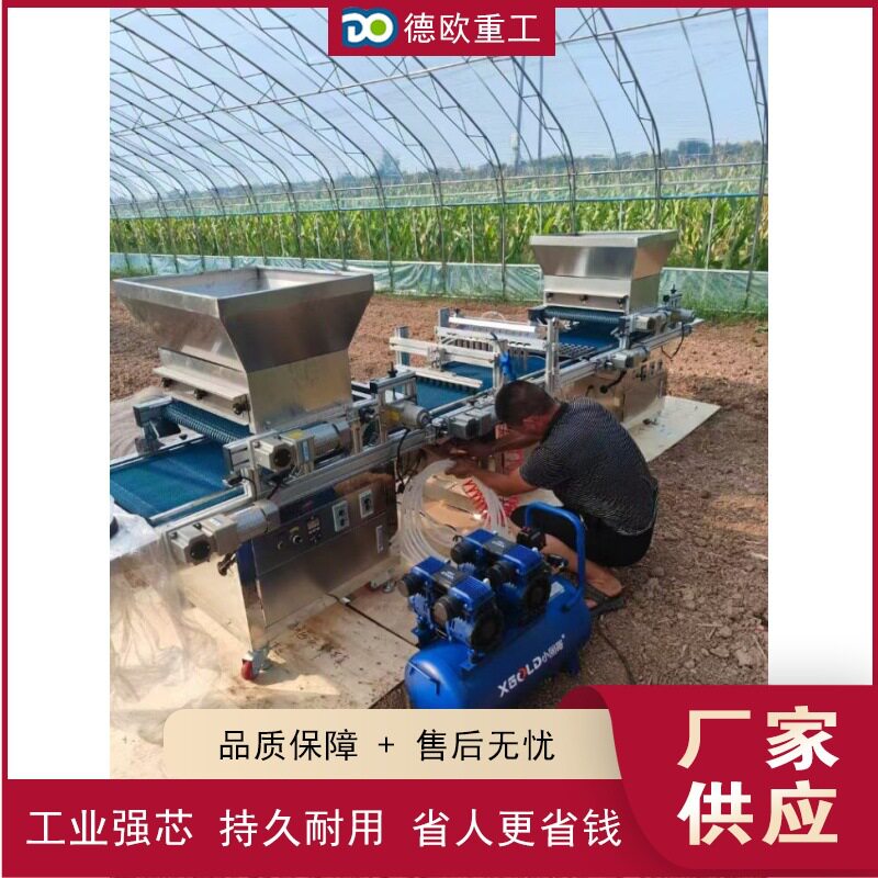 全自动穴盘育苗机蔬菜种子育苗盘播种机铺土压穴播种一体机