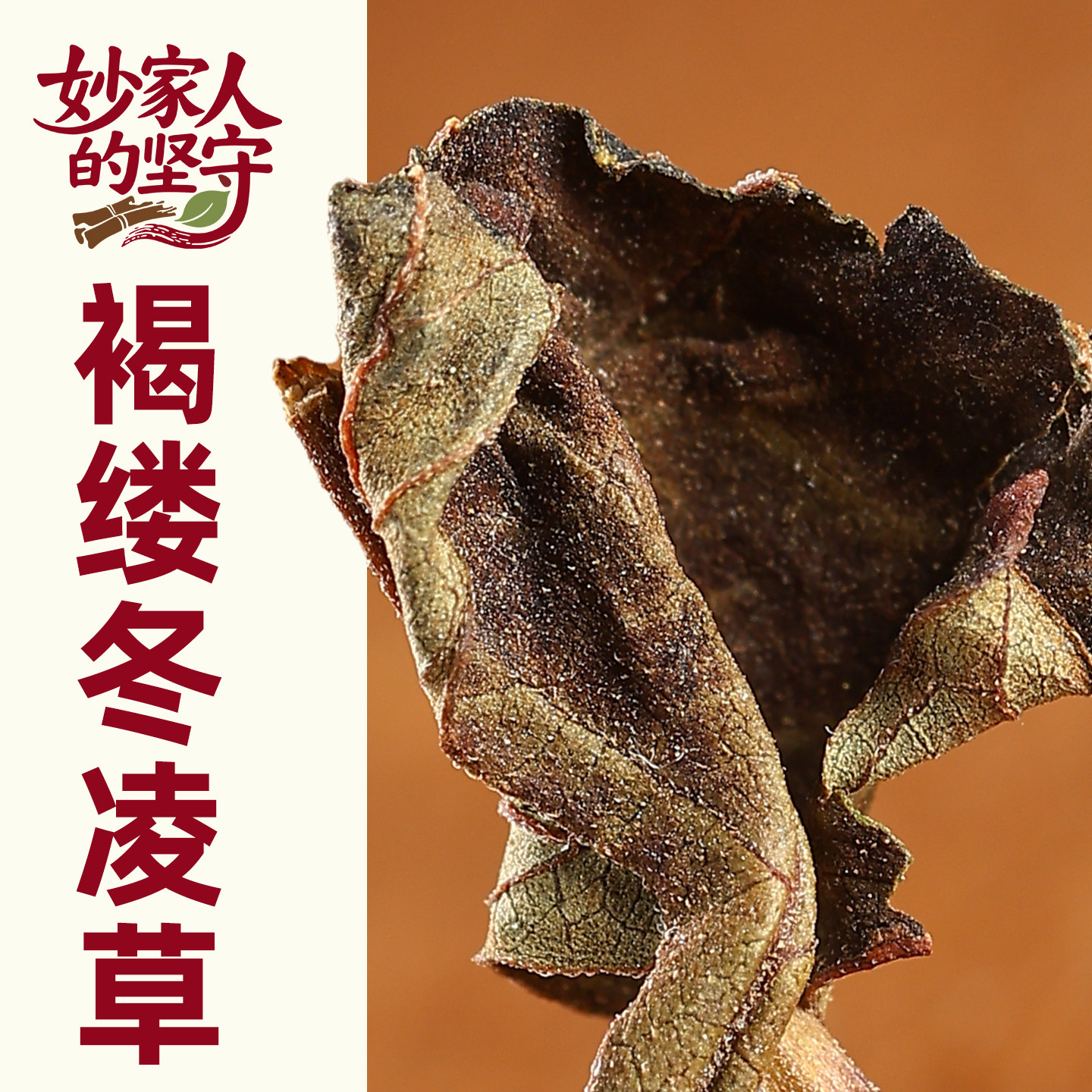 冬凌草中药材正品【妙家人的坚守】