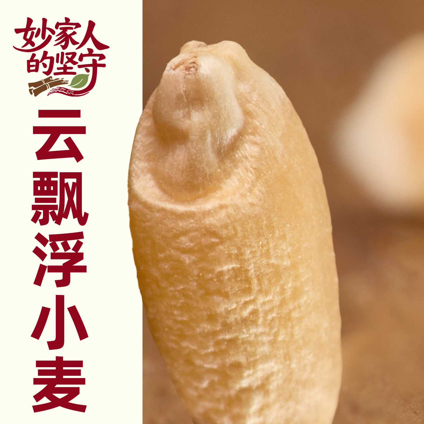 浮小麦中药材500g克浮水小麦干瘪子新货止汗茶野生无硫熏特级精选
