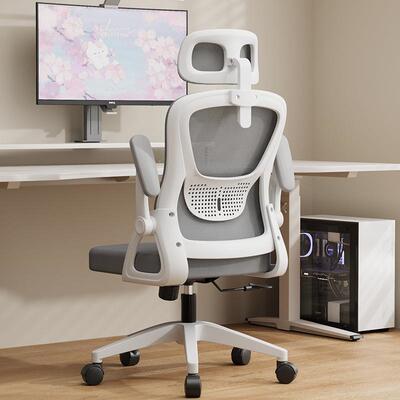 office echair Computrc hair 588ergonomic chair 椅人体工学办