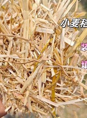 小麦秸秆天然宠物窝鸡窝草牛食料干麦秸装饰填充狗鸭窝草晒干秸秆