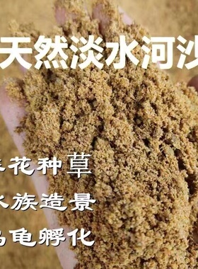 天然河沙细沙养龟种花沙子鱼缸底砂水族造景乌龟冬眠多肉铺面沙子