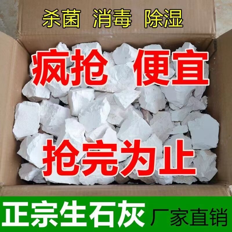 生石灰块回南天家用衣柜吸湿除防霉潮刷果树农业杀虫石灰粉干燥剂