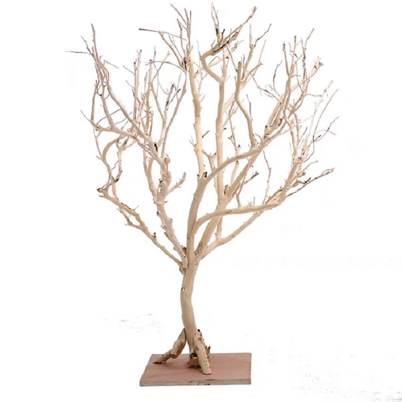干树枝造景干枝树干许愿树枯树室内庭院造型树枝干原木树枝装饰树