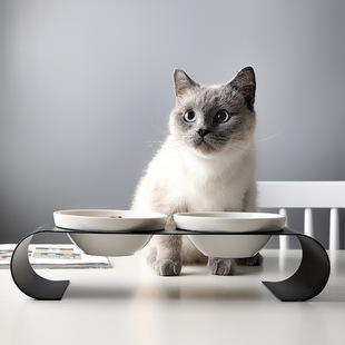 宠物用品高脚宠物碗猫碗食盆双碗狗碗铁架保护脊椎套装 新款 陶瓷碗