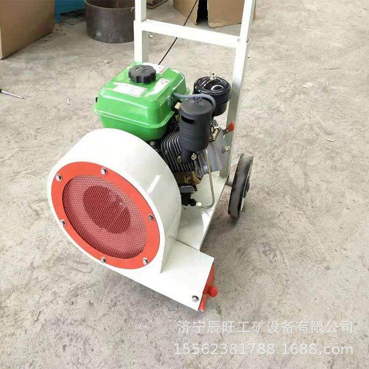 大功率路面机械吹风机 手推式道路汽油吹风机 电动马路吹风机,汽车零部件/养护/美容/维保,工程机械轮胎,淘宝优惠券,粉丝福利购,淘宝优惠卷