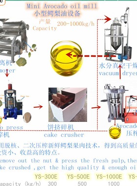 鳄梨牛油果榨油设备,成套鳄梨牛油果油机器设备 avocado oil mill