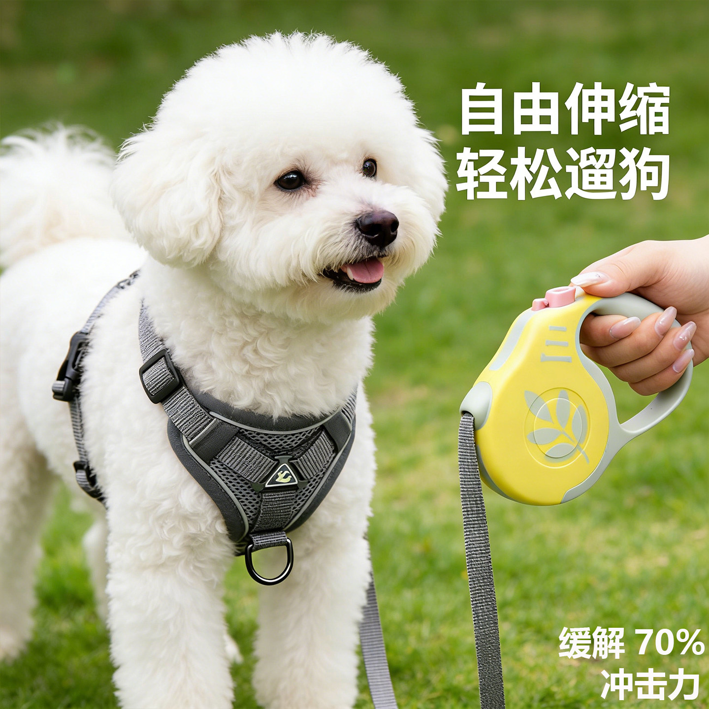 狗狗牵引绳自动伸缩狗绳狗链子防挣脱不勒脖小型犬胸背带宠物用品