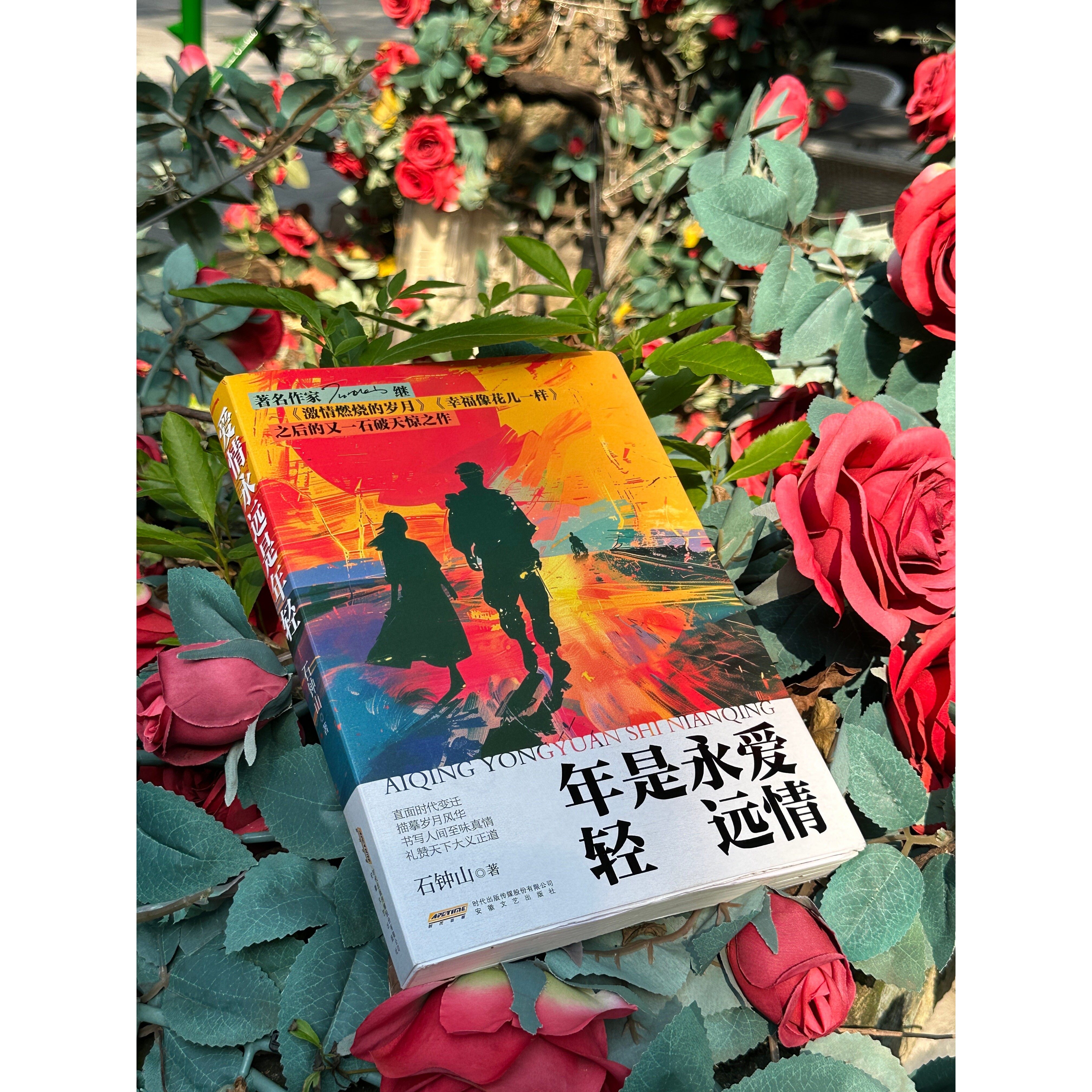 爱情永远是年轻  石钟山著 军旅情感题材的原创长篇小说  安徽文艺出版社