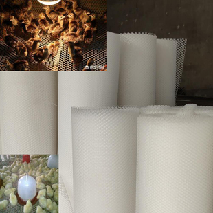 加厚塑料网养殖网育雏漏粪网床网垫养鸡鸭隔离围栏网胶网鹅床围网