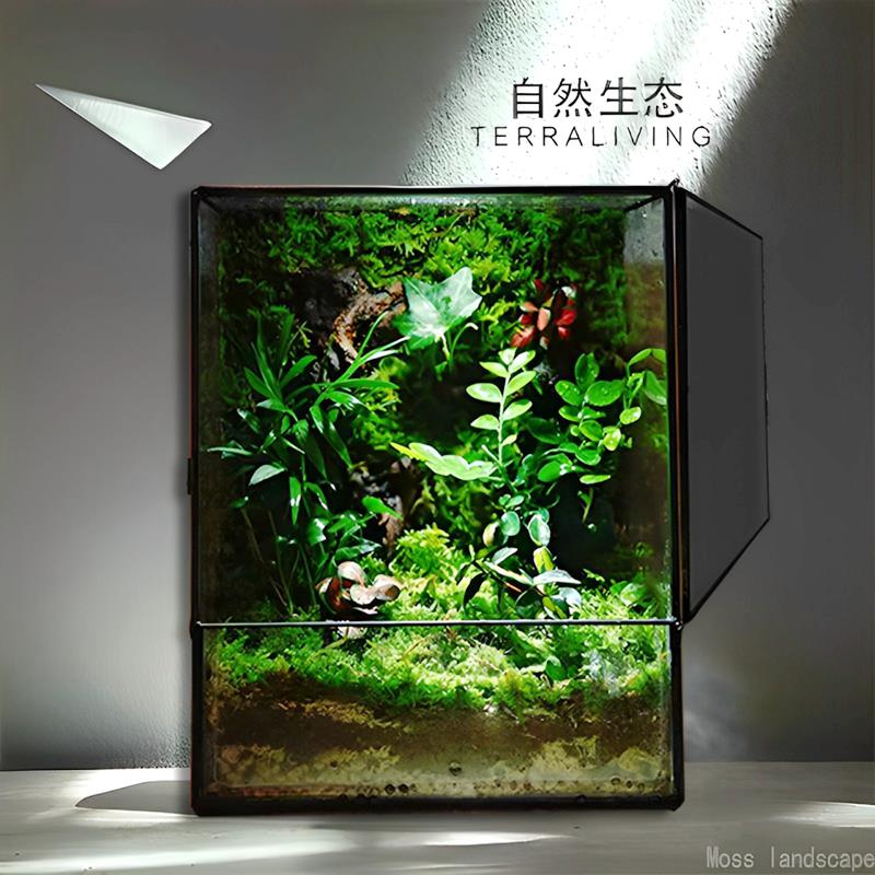 桌面苔藓微景观室内植物造景创意盆栽盆景生态雨林缸森林成品摆件
