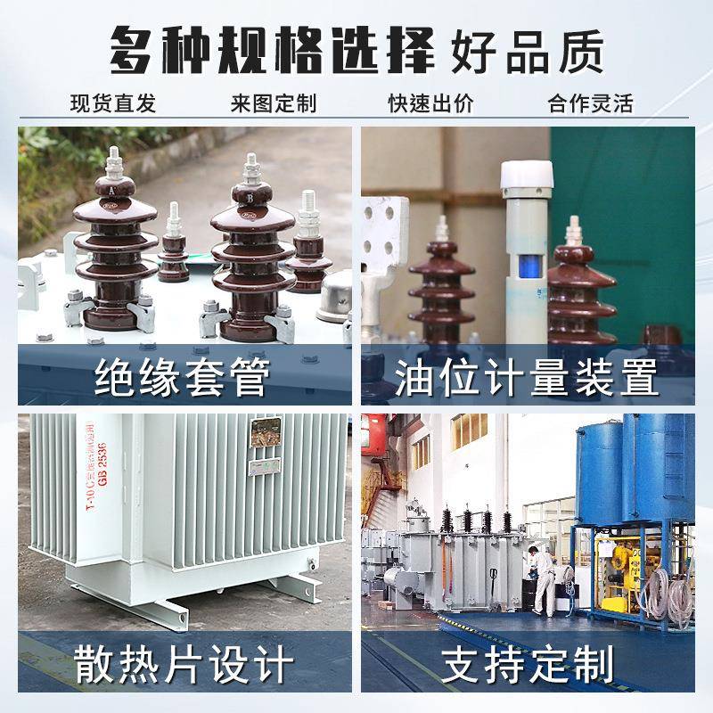S1-830/250/60kv压a油1浸式变压器三相DMK全铜10kv高压电力变器厂