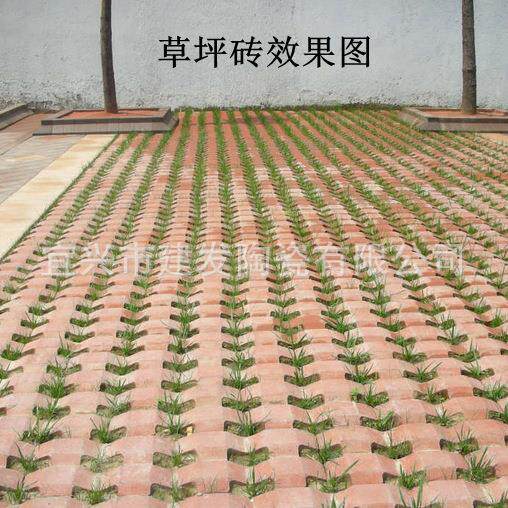 红色植草砖小区停车场砖河道园林绿化草坪砖透水空心植草砖