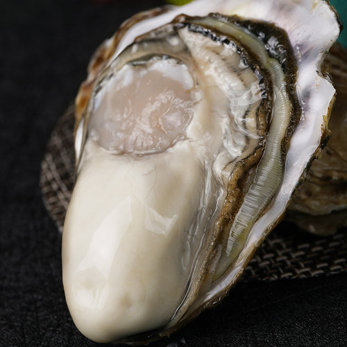 【顺丰包邮正宗乳山生蚝】乳山生蚝牡蛎鲜活贝类海鲜海蛎子5斤
