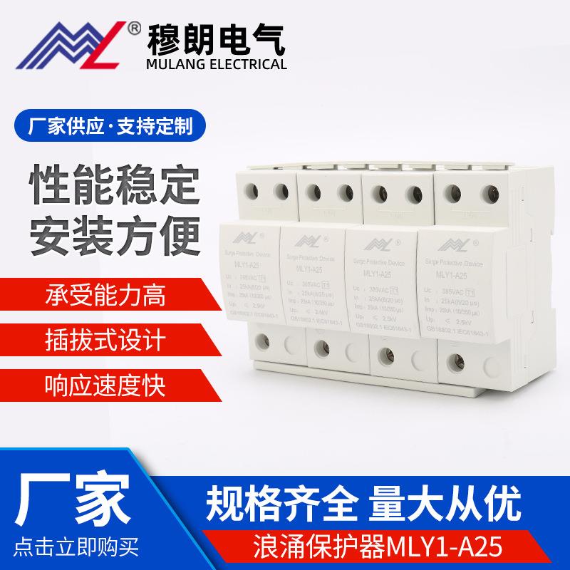 供应浪涌保护器MLY1-A25电涌保护器一级防雷器家用开关