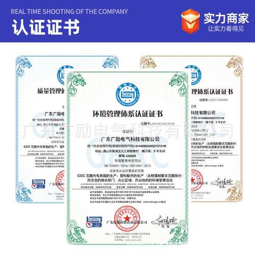 厂表家直售PC料费控单相九位箱阻燃塑位预付费9电表费控单相箱成