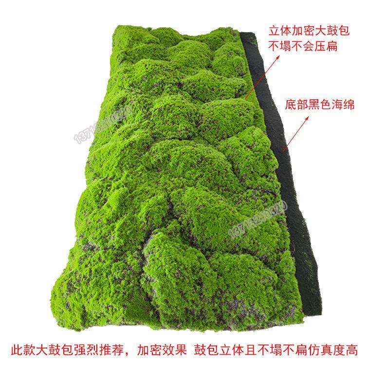 仿真苔藓绿色草皮假苔造景XH-XK02青坪植物微景观绿草植人造大墙