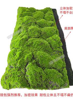 仿真苔藓绿色草皮假苔造景XH-XK02青坪植物微景观绿草植人造大墙