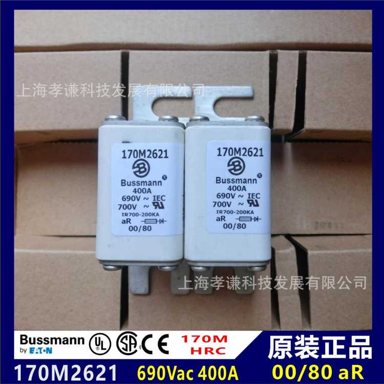 进口巴士曼BUSSMANN熔断器170M2669 690Vac 315A TN00/80保险丝aR