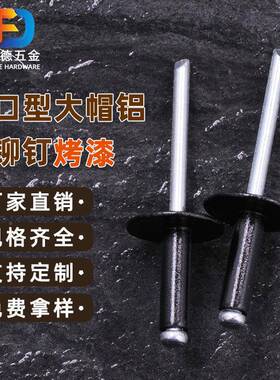 大帽檐大黑色铆227钉烤漆拉拉钉开口型大帽烤帽黑抽芯铆钉铝钉烤