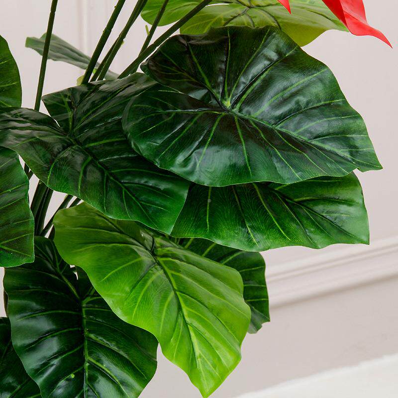大型玄室内仿绿植摆件料(cs)客厅关装饰假花红掌盆栽植物真塑盆
