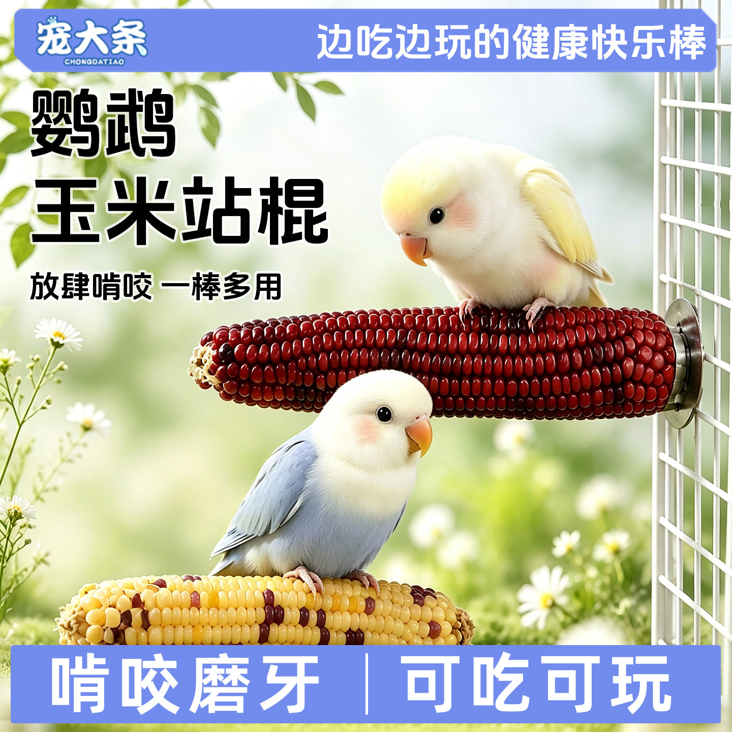 宠大条鹦鹉零食棒天然小玉米鸟站杆虎皮玄凤牡丹啃咬解闷鸟玩具