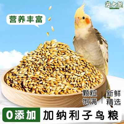 【宠大条】鹦鹉鸟粮鸟食虎皮玄凤小太阳专用粮加纳利子训练鸟零食