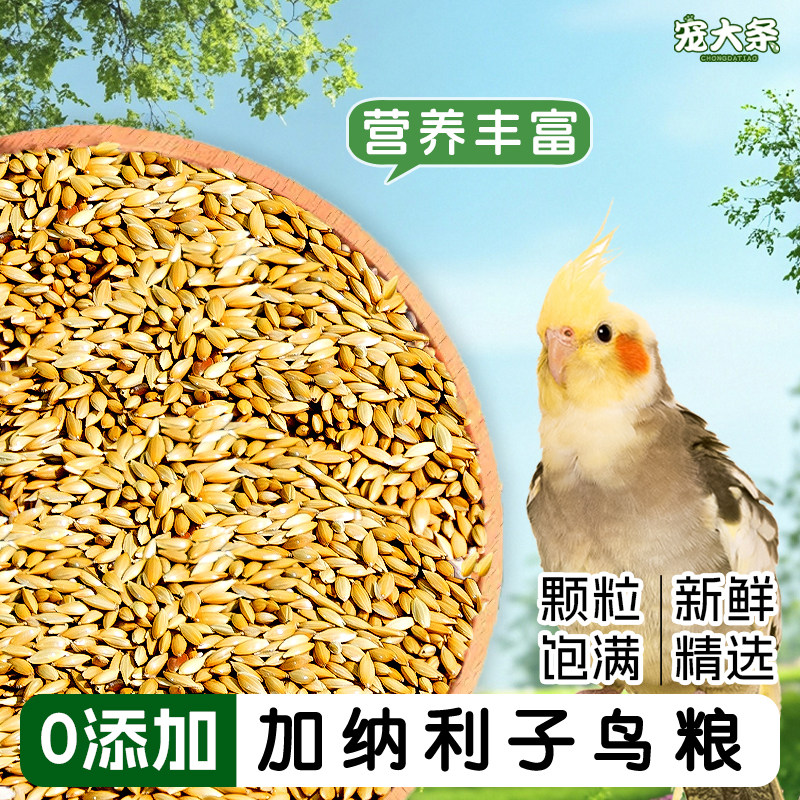 【宠大条】鹦鹉鸟粮加纳利子鸟饲料虎皮玄凤牡丹专用粮高蛋白鸟粮,宠物/宠物食品及用品,鸟零食,淘宝优惠券,粉丝福利购,淘宝优惠卷
