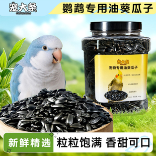 寵大條鸚鵡油葵瓜子牡丹玄鳳小太陽和尚鳥糧零食瓜籽訓練獎勵飼料